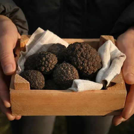 Lapis By Interhome * 布泽特