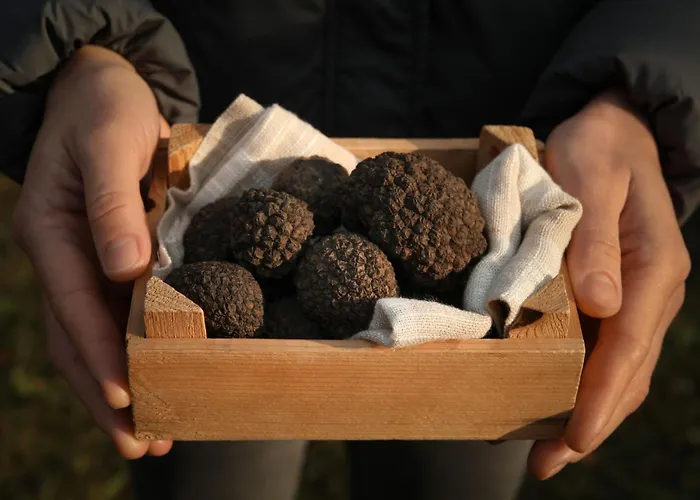 Lapis By Interhome * Buzet