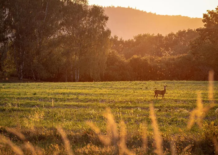 Lapis By Interhome Feriehus *