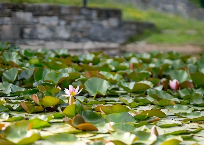 Lapis By Interhome Feriehus Buzet